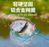 臻佑（Grsaed）儿童抄网不锈钢抄网杆伸缩捞鱼网兜小鱼虾捕虫网玩具蓝色 实拍图