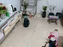 劉閣蘭花刘阁兰花苗盆栽 建兰天红 夏带花苞出售红素好养花卉四季室内好养 天红3苗:带盆土肥,说明书 实拍图