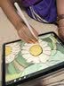 Apple/苹果 Pencil Pro 磁吸触控笔手写笔苹果笔电容笔书写绘画iPad笔 适用于iPad Pro/Air/mini机型 实拍图
