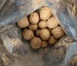 楼兰蜜语薄皮大核桃500g/袋*2 新疆纸皮核桃新货 新二核桃零食坚果炒货 实拍图