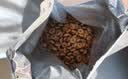 皇家猫粮 挑嘴成猫猫粮 高适口性 EF38 通用粮 12月以上 4KG 实拍图