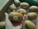 佳沛（zespri）金奇异果25-27粒原箱特大果124-146g猕猴桃中秋节礼品送水果礼盒 实拍图