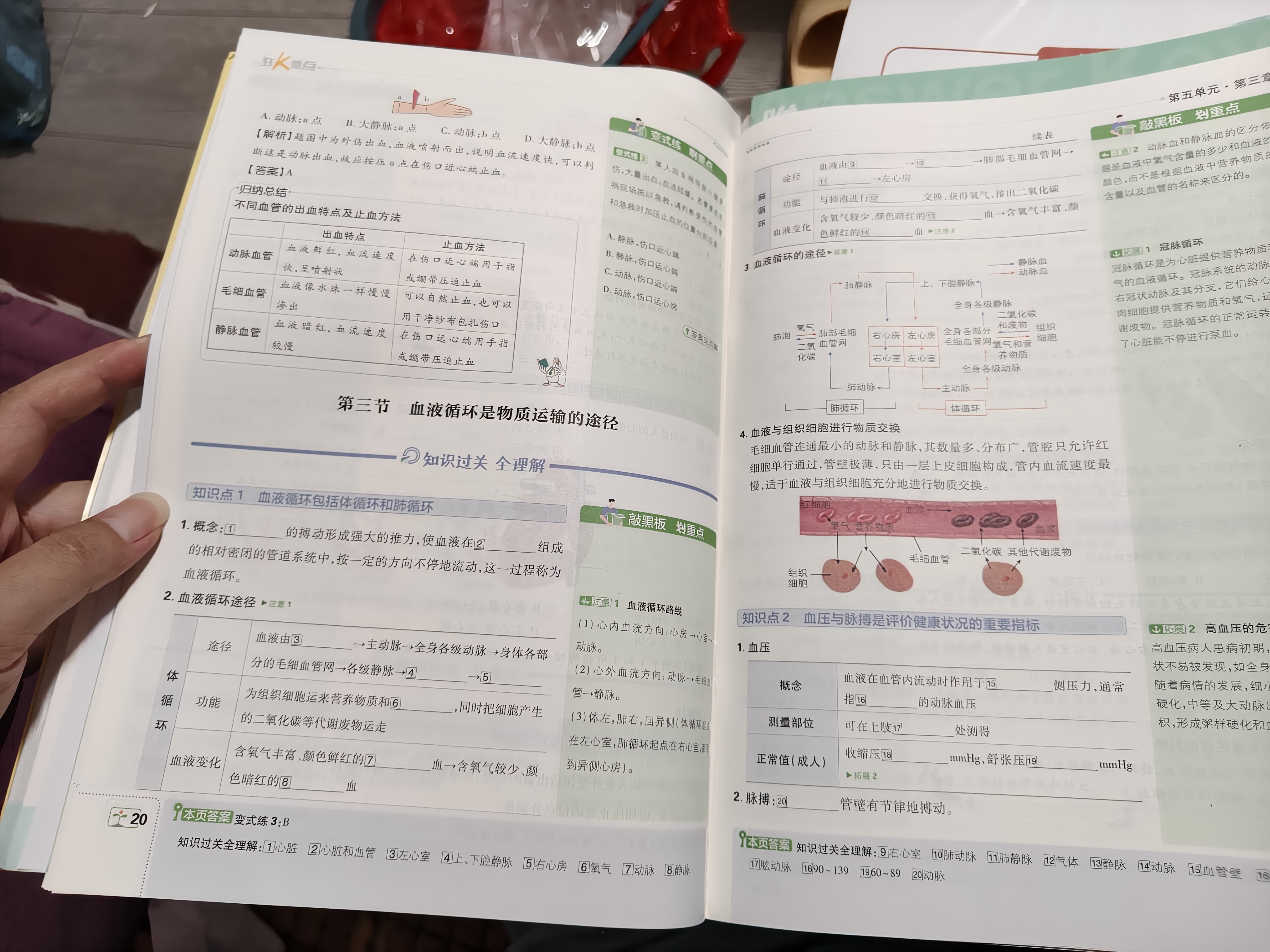 2027初中必刷题 生物八年级上册 济南版 初二同步练习一课一练教材全解随堂笔记天天练 实拍图