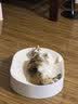 皇家猫粮 成猫猫粮 营养均衡 F32 通用粮 1-7岁 15KG 实拍图