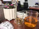 物生物（RELEA）玻璃杯男女士茶水分离杯耐高温办公泡茶杯带把高硼硅水杯花茶杯子 实拍图