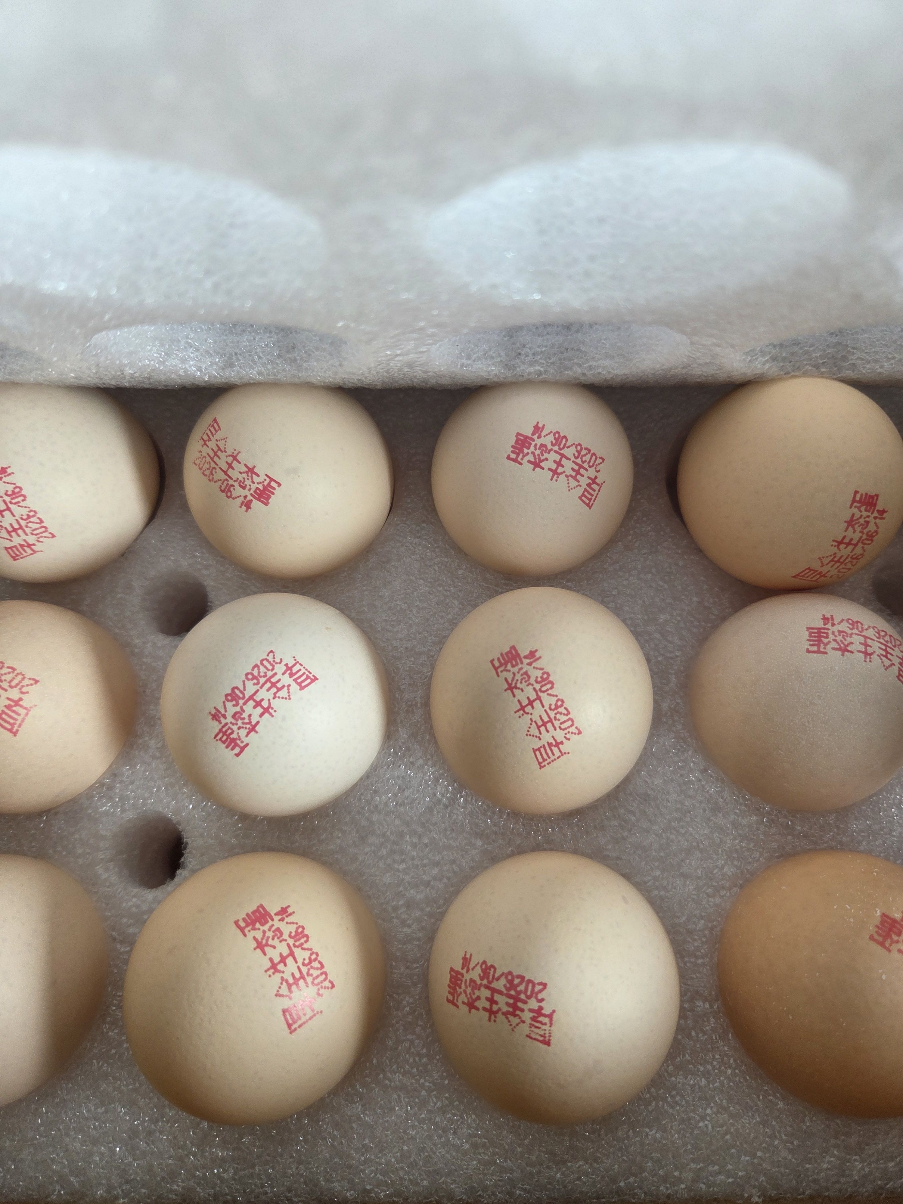 厚全生态蛋30枚/1.5kg谷物蛋鲜鸡蛋可食用生鸡蛋大个头轻食整箱礼盒装 厚全生态蛋30枚/1.5kg 实拍图