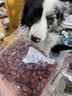 HELLOJOY狗狗零食宠物泰迪金毛幼犬成犬训练奖励 营养牛肉粒2.7斤 实拍图