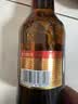 青岛啤酒（TsingTao）小棕金 拉环瓶盖设计 258ml*12瓶 整箱装 中秋礼品 实拍图