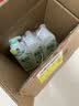 AXE斧头牌果蔬净鸭屎香洗洁精1kg*3瓶 零添加 去农残 实拍图