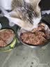 力狼（LILANG）宠物猫粮幼猫成猫零食猫湿粮猫咪猫罐头 金枪鱼+银鱼170g*12罐 实拍图