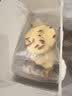 方家铺子苹果山楂茶100g红枣祛枸杞瘦泡水肚饮食油腻湿养生刮刮水果茶 实拍图