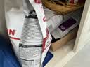 皇家猫粮 成猫猫粮 F32 通用粮 1-7岁 400g 实拍图