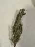 口味全 迷迭香干枝新鲜原枝干迷迭香35g西餐牛排红酒迷迭香煎牛排 实拍图