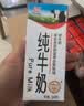 辉山纯牛奶250ml*24盒 3.1g乳蛋白 100mg钙 全新升级 营养牛奶 实拍图