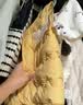 嘟嘟家儿童背心加厚秋冬过年红色男童马甲冬季保暖童装女童棉服马夹上衣 黄色 110 实拍图