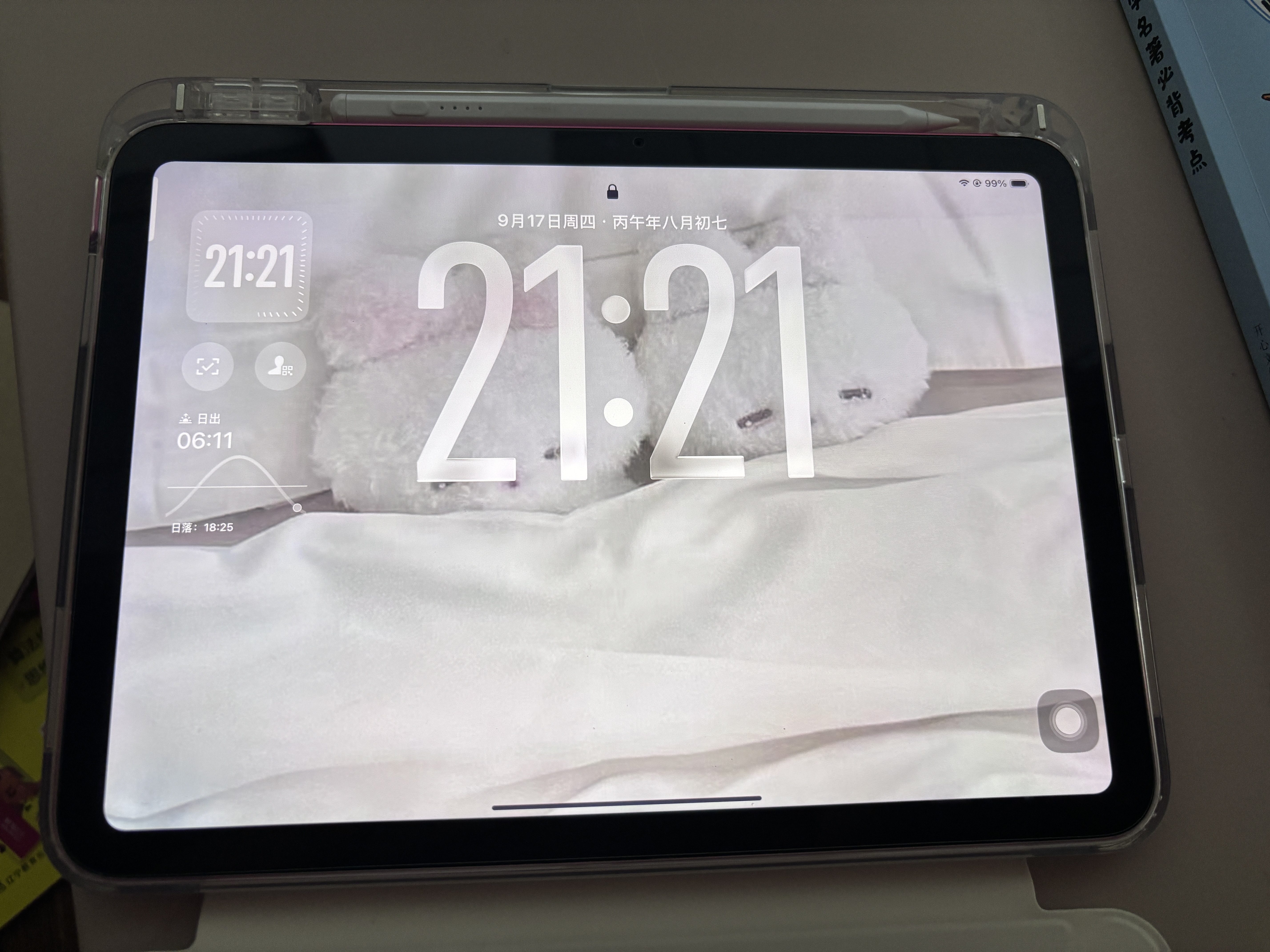 Apple/苹果/苹果 iPad 11英寸 A16芯片2025年款 平板电脑 (256GB WLAN版/学习办公娱乐)粉色 实拍图