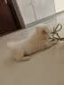 好主人狗粮 全犬种通用幼犬粮2.5kg泰迪金毛拉布拉多比熊天然粮5斤/20斤 全犬种幼犬粮10斤 实拍图