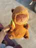 熊猫熊卡皮巴拉玩偶公仔布娃娃毛绒玩具儿童生日女孩教师节礼物老师女生 实拍图