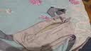 斐月伽斜挎包男日系ins胸包大容量腰包手机包运动单肩包女简约少女挎包 灰色单包+爬爬熊挂件+3徽章 实拍图