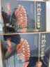 王家渡低温香肠正宗四川特产麻辣香肠350g猪肉腊肠腊味肉肠下酒菜 实拍图