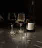轩唐智利进口14.5度红酒整箱卡曼尼干红葡萄酒礼盒装中秋送礼到手12瓶 实拍图