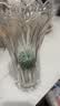 墨斗鱼玻璃花瓶高级感简约插花瓶水培绿植物水培养生态瓶养花生日礼物 实拍图