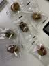 十月稻田 去皮去核灰枣 500g 新疆红枣 软糯香甜 单颗独立包装 零食 辅食 实拍图