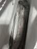 棠鲜生带鱼 精品特级海钓宽带鱼新鲜特大整条带鱼礼盒整箱节日送礼礼盒 6斤装（1斤-1.4斤/条） 实拍图