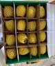 佳沛（zespri）新西兰金奇异果12粒特大果124-146g猕猴桃中秋节礼品送水果礼盒 实拍图