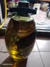金龙鱼食用油添加25%初榨橄榄 食用植物调和油5L（新老配方随机发货） 实拍图