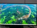 泰坦军团 26.5英寸 QD-OLED镜面屏 五层串联技术 4K 165Hz 10bit DeltaE<1硬件低蓝光 AI电竞显示器 G2785V 实拍图
