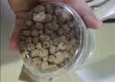 养益君覆盆子茶100g 复盆子大颗树莓干搭中药材覆盆子泡水泡酒 实拍图