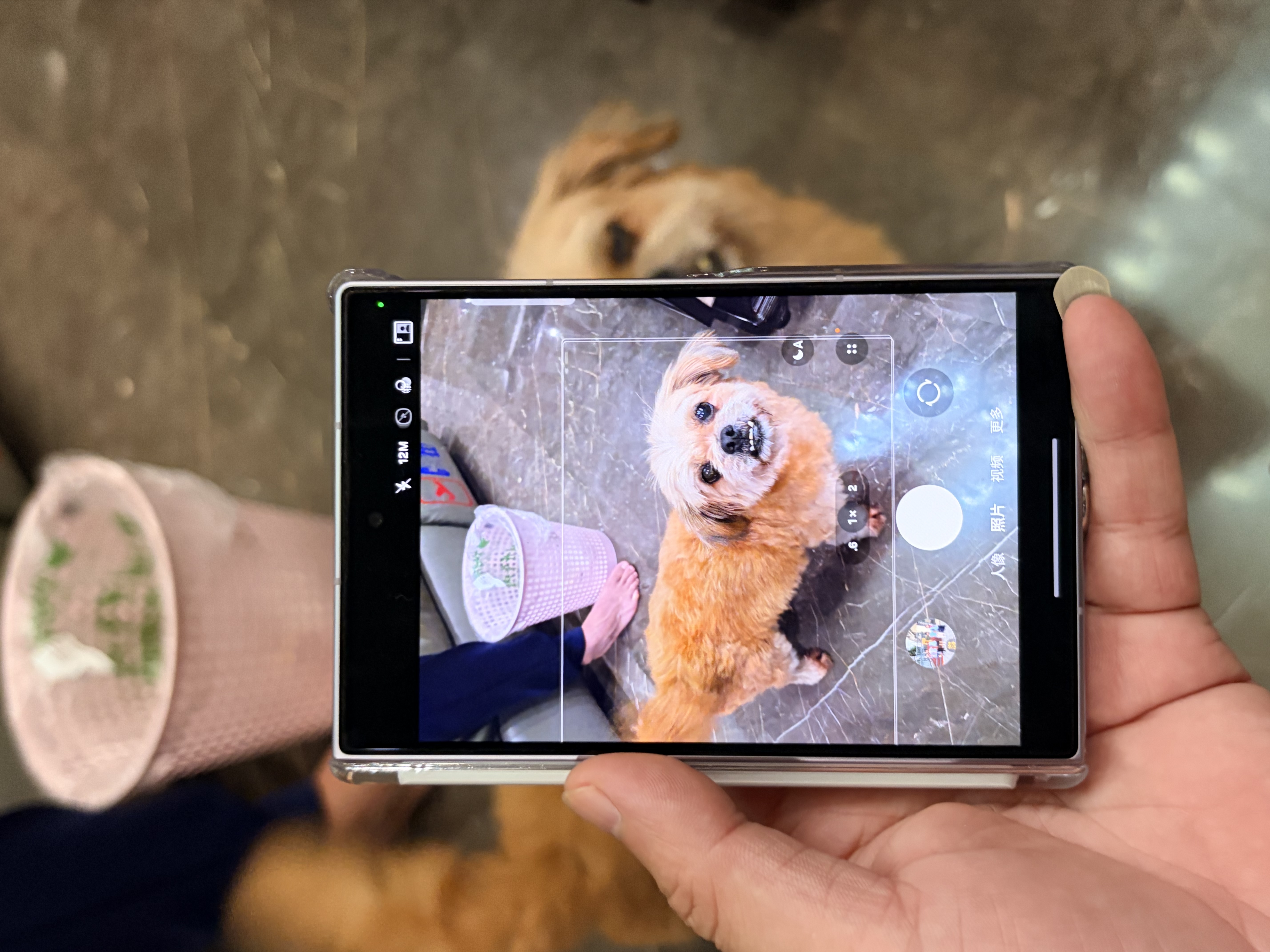 三星【限时12期免息 月付1217元】Galaxy Z Fold8 阔折叠屏手机 201g超轻薄 AI手机 12GB+512GB 柔薰紫 实拍图