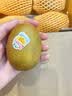 佳沛（zespri）新西兰金奇异果12粒特大果124-146g猕猴桃中秋节礼品送水果礼盒 实拍图