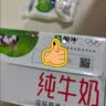蒙牛【新鲜日期】全脂纯牛奶250ml*21盒 3.2g蛋白 送礼优先 实拍图