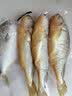 三都港 冷冻三去黄花鱼700g/2条装 大黄鱼 生鲜鱼类 深海鱼 中秋海鲜 实拍图