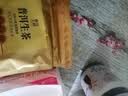 东方大师茶叶普洱茶云南古树普洱生茶冰岛普洱散茶生普中秋礼品送长辈500g 实拍图