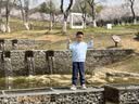 361°童鞋 儿童跑鞋26秋男女童3-14岁缓震校园小白鞋 白31 实拍图