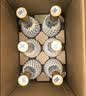 汾酒 黄盖玻汾 清香型白酒 53度 475mL*6瓶整箱 年份随机 实拍图