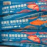 力狼猫条猫咪零食幼猫成猫宠物罐头猫咪汤包湿粮 【力荐箱装】5种口味15g*80支 实拍图