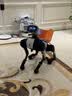 Vbot维他动力大头BoBo机器狗Pro+载物套装 家用四足机器人 自主跟随智能陪伴 中秋送礼物 白狗+橙筐 晒单实拍图