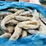 GUO LIAN国联盐冻大虾净重3斤75-90只 50/60 南美白对虾生鲜海鲜中秋好礼 实拍图