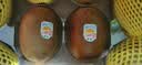 佳沛（zespri）新西兰金奇异果10粒巨大果146-175g猕猴桃中秋节礼品送水果礼盒 实拍图
