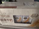 伊利新鲜日期谷粒多生牛乳五黑京东自营整箱 200ml*16盒 中秋礼盒装 实拍图