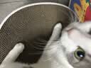 小佩方形猫抓板窝 磨爪器瓦楞纸 猫抓板猫窝一体窝垫猫爪板猫咪玩具 梦幻极光-尺寸：40x40x10cm 实拍图