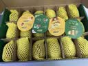 佳沛（zespri）新西兰金奇异果18粒优选果103-124g猕猴桃中秋节礼品送水果礼盒 实拍图