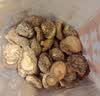 十月稻田 金钱菇 200g 干香菇 小香菇 山珍菌菇干货 煲汤火锅炒菜食材 实拍图