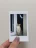 INSTAX富士instax立拍立得 mini相纸 白边双包20张(适用miniSE/11/12/40/90/LiPlay/EVO/Link3) 实拍图