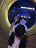 小寻儿童电话手表Yes3 微信版4G全网通防水 视频通话 精准定位 中小学生6-12岁男女学生 紫色 国家补贴 实拍图