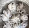 美加佳三去小章鱼净重2斤（500g*2袋）16-26只 去脏八爪鱼 聚餐 实拍图
